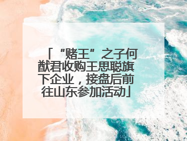 “赌王”之子何猷君收购王思聪旗下企业，接盘后前往山东参加活动