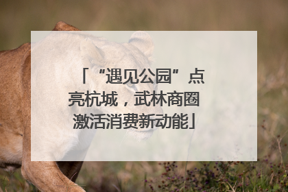 “遇见公园”点亮杭城，武林商圈激活消费新动能