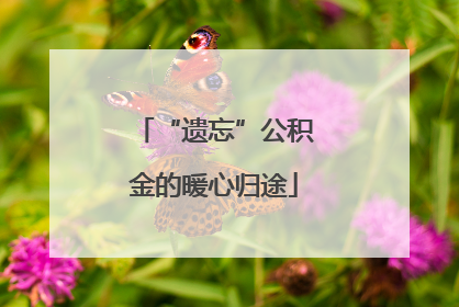 “遗忘”公积金的暖心归途