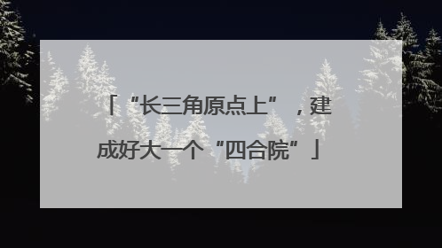 “长三角原点上”，建成好大一个“四合院”