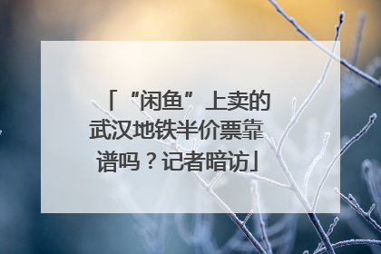 “闲鱼”上卖的武汉地铁半价票靠谱吗？记者暗访