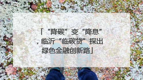 “降碳”变“降息”，临沂“临碳贷”探出绿色金融创新路