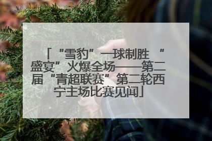 “雪豹”一球制胜 “盛宴”火爆全场——第二届“青超联赛”第二轮西宁主场比赛见闻