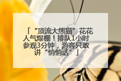 “顶流大熊猫”花花人气爆棚！排队1小时参观3分钟，游客只敢讲“悄悄话”