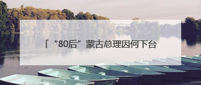 “80后”蒙古总理因何下台？儿子女友网上炫富成导火索