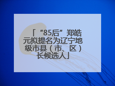 “85后”郑皓元拟提名为辽宁地级市县（市、区）长候选人