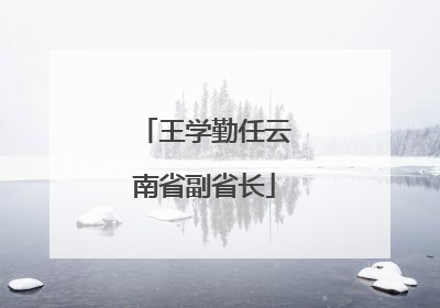 王学勤任云南省副省长