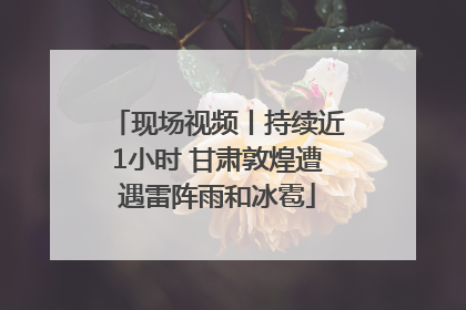 现场视频丨持续近1小时 甘肃敦煌遭遇雷阵雨和冰雹