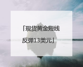 现货黄金短线反弹13美元