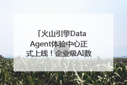 火山引擎Data Agent体验中心正式上线！企业级AI数据专家触手可及