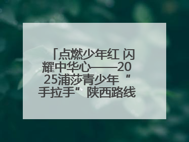点燃少年红 闪耀中华心——2025浦莎青少年“手拉手”陕西路线丝路续新章