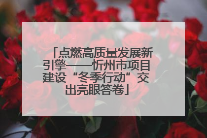 点燃高质量发展新引擎——忻州市项目建设“冬季行动”交出亮眼答卷