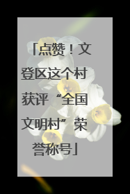 点赞！文登区这个村获评“全国文明村”荣誉称号