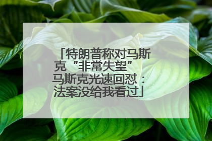 特朗普称对马斯克“非常失望” 马斯克光速回怼：法案没给我看过