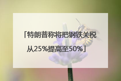 特朗普称将把钢铁关税从25%提高至50%