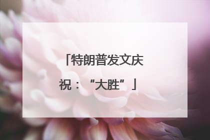特朗普发文庆祝：“大胜”