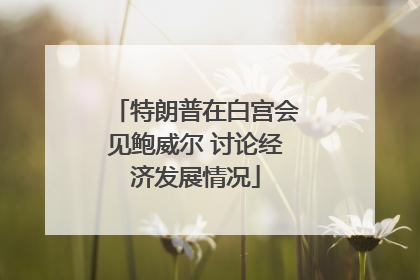 特朗普在白宫会见鲍威尔 讨论经济发展情况