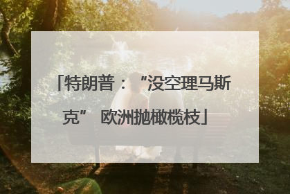 特朗普：“没空理马斯克” 欧洲抛橄榄枝