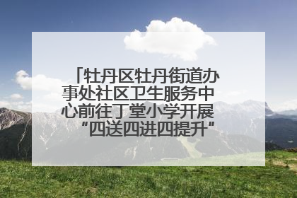 牡丹区牡丹街道办事处社区卫生服务中心前往丁堂小学开展“四送四进四提升”及无烟日宣传活动