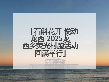 石斛花开 悦动龙西 2025龙西乡荧光村跑活动圆满举行