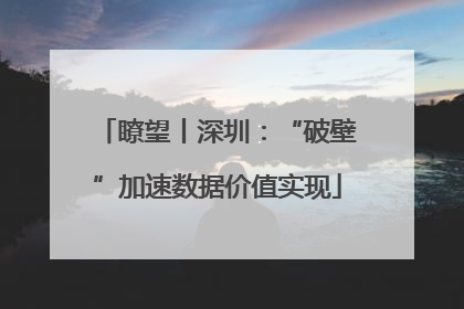 瞭望丨深圳：“破壁”加速数据价值实现