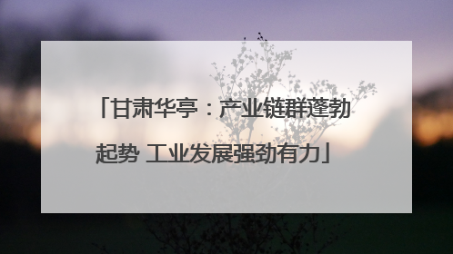 甘肃华亭：产业链群蓬勃起势 工业发展强劲有力
