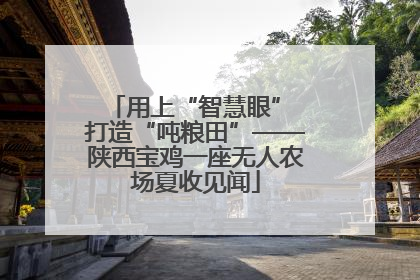 用上“智慧眼” 打造“吨粮田”——陕西宝鸡一座无人农场夏收见闻
