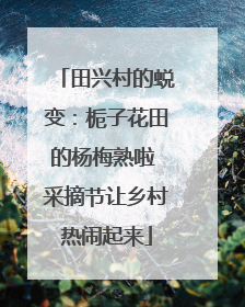 田兴村的蜕变：栀子花田的杨梅熟啦 采摘节让乡村热闹起来