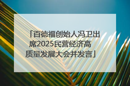 百德福创始人冯卫出席2025民营经济高质量发展大会并发言