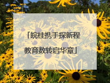 皖桂携手探新程 教育数转启华章