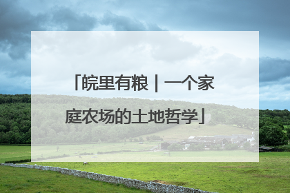 皖里有粮｜一个家庭农场的土地哲学
