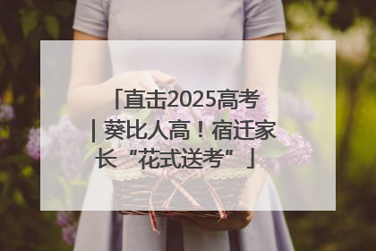 直击2025高考｜葵比人高！宿迁家长“花式送考”