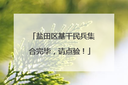盐田区基干民兵集合完毕，请点验！