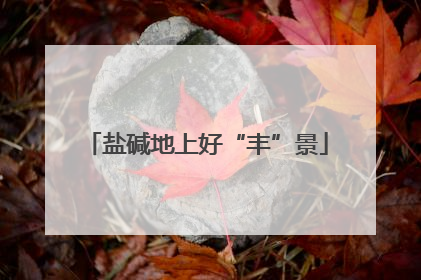 盐碱地上好“丰”景