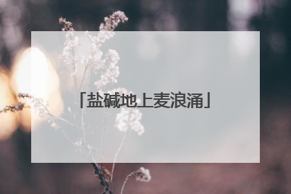 盐碱地上麦浪涌