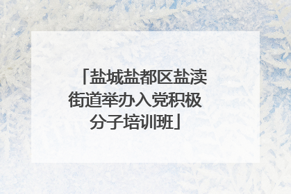 盐城盐都区盐渎街道举办入党积极分子培训班