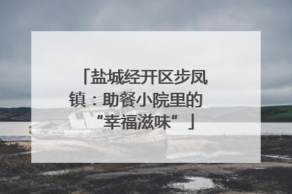 盐城经开区步凤镇：助餐小院里的“幸福滋味”
