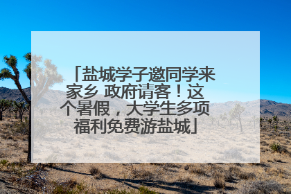 盐城学子邀同学来家乡 政府请客！这个暑假，大学生多项福利免费游盐城