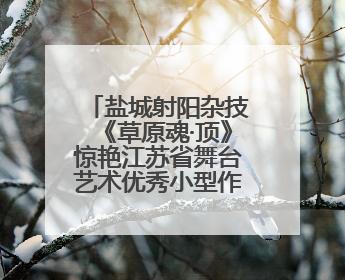 盐城射阳杂技《草原魂·顶》惊艳江苏省舞台艺术优秀小型作品调演