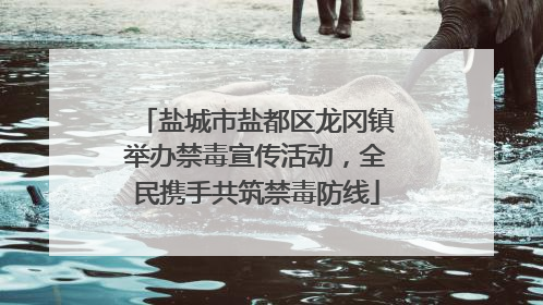 盐城市盐都区龙冈镇举办禁毒宣传活动，全民携手共筑禁毒防线