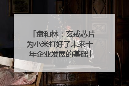 盘和林：玄戒芯片为小米打好了未来十年企业发展的基础
