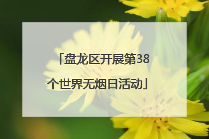 盘龙区开展第38个世界无烟日活动