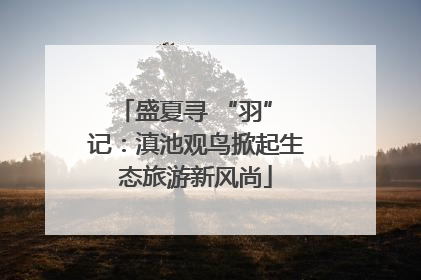 盛夏寻 “羽” 记：滇池观鸟掀起生态旅游新风尚