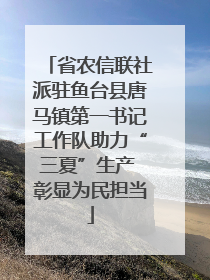 省农信联社派驻鱼台县唐马镇第一书记工作队助力“三夏”生产 彰显为民担当