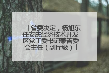 省委决定，杨旭东任安庆经济技术开发区党工委书记兼管委会主任（副厅级）