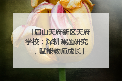 眉山天府新区天府学校：深耕课题研究，赋能教师成长
