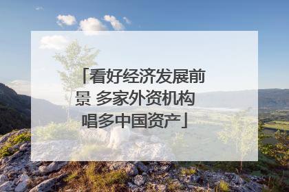 看好经济发展前景 多家外资机构唱多中国资产