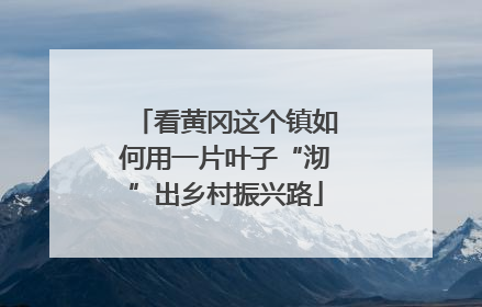 看黄冈这个镇如何用一片叶子“沏”出乡村振兴路