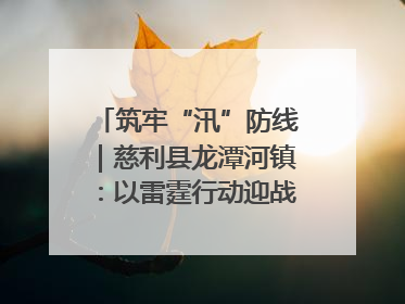 筑牢“汛”防线｜慈利县龙潭河镇：以雷霆行动迎战暴雨洪峰