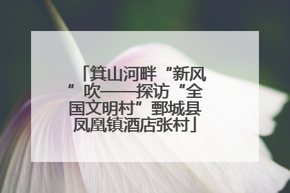 箕山河畔“新风”吹——探访“全国文明村”鄄城县凤凰镇酒店张村